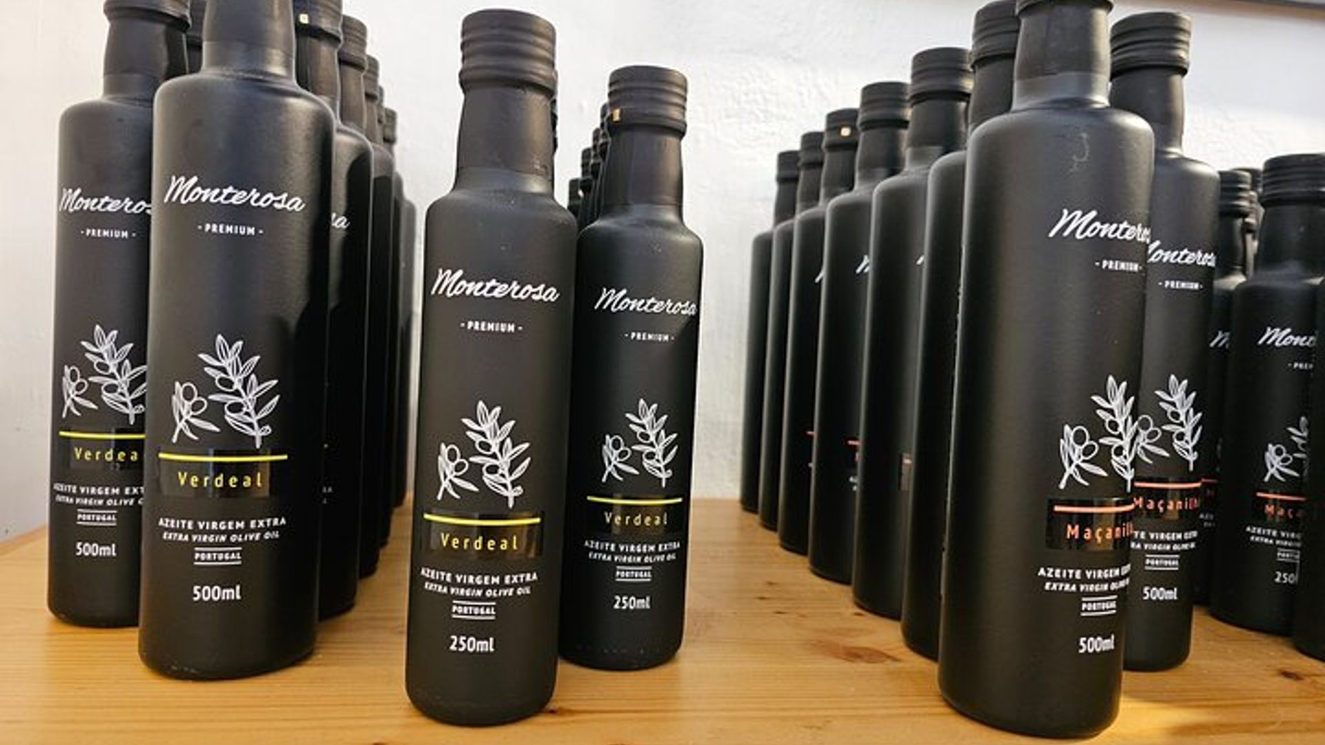 Recorrido por el Olivar, Visita a la Almazara y Cata de Aceite de Oliva