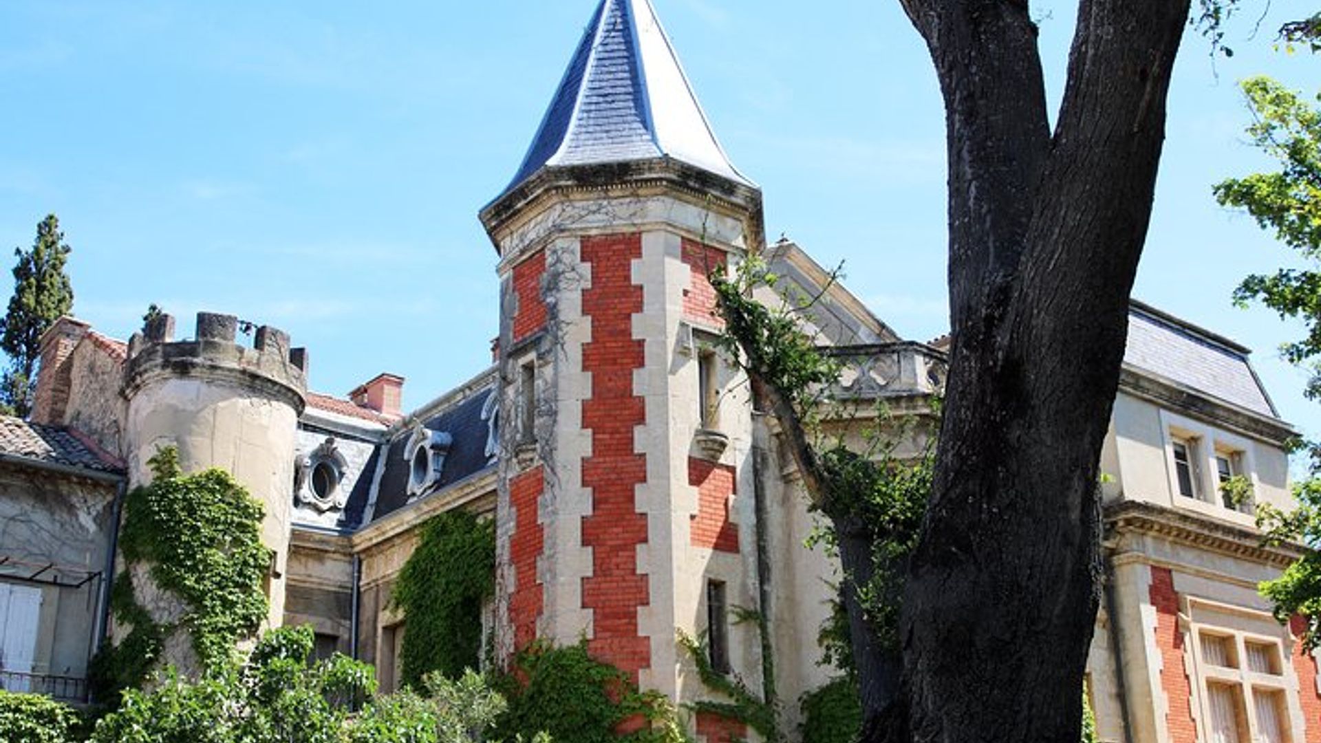 Experiencia intensiva de viñedos y vinos finos en Châteauneuf Du Pape