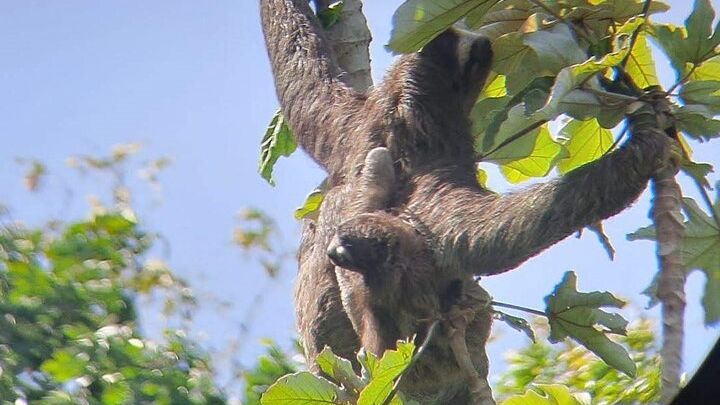 Ocean to Ocean Panama Canal and Jungle Tour