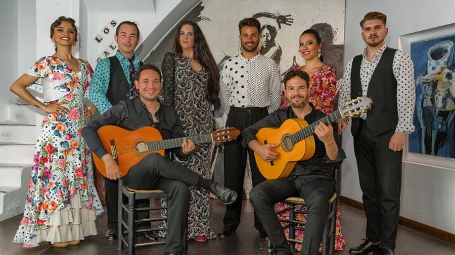 Seville Flamenco Show