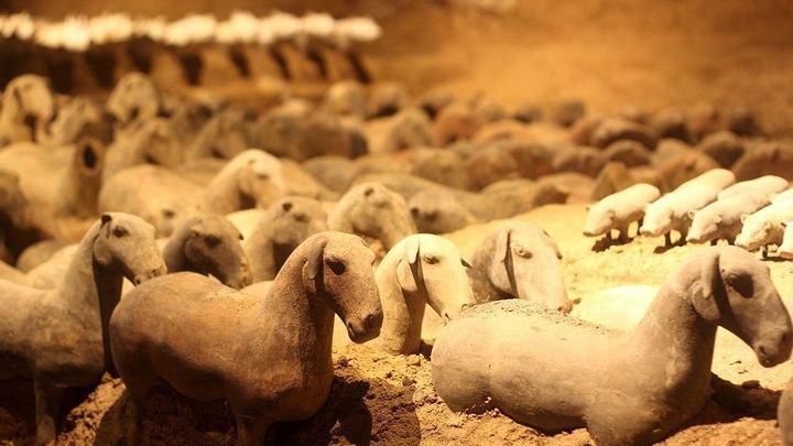 Private Xi'an Tour: Terracotta Warriors, Hanyangling Museum