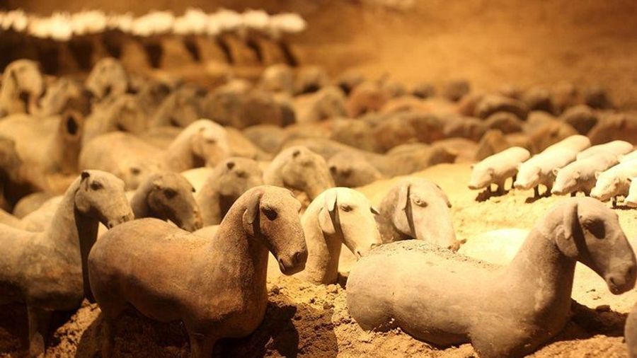 Private Xi'an Tour: Terracotta Warriors, Hanyangling Museum