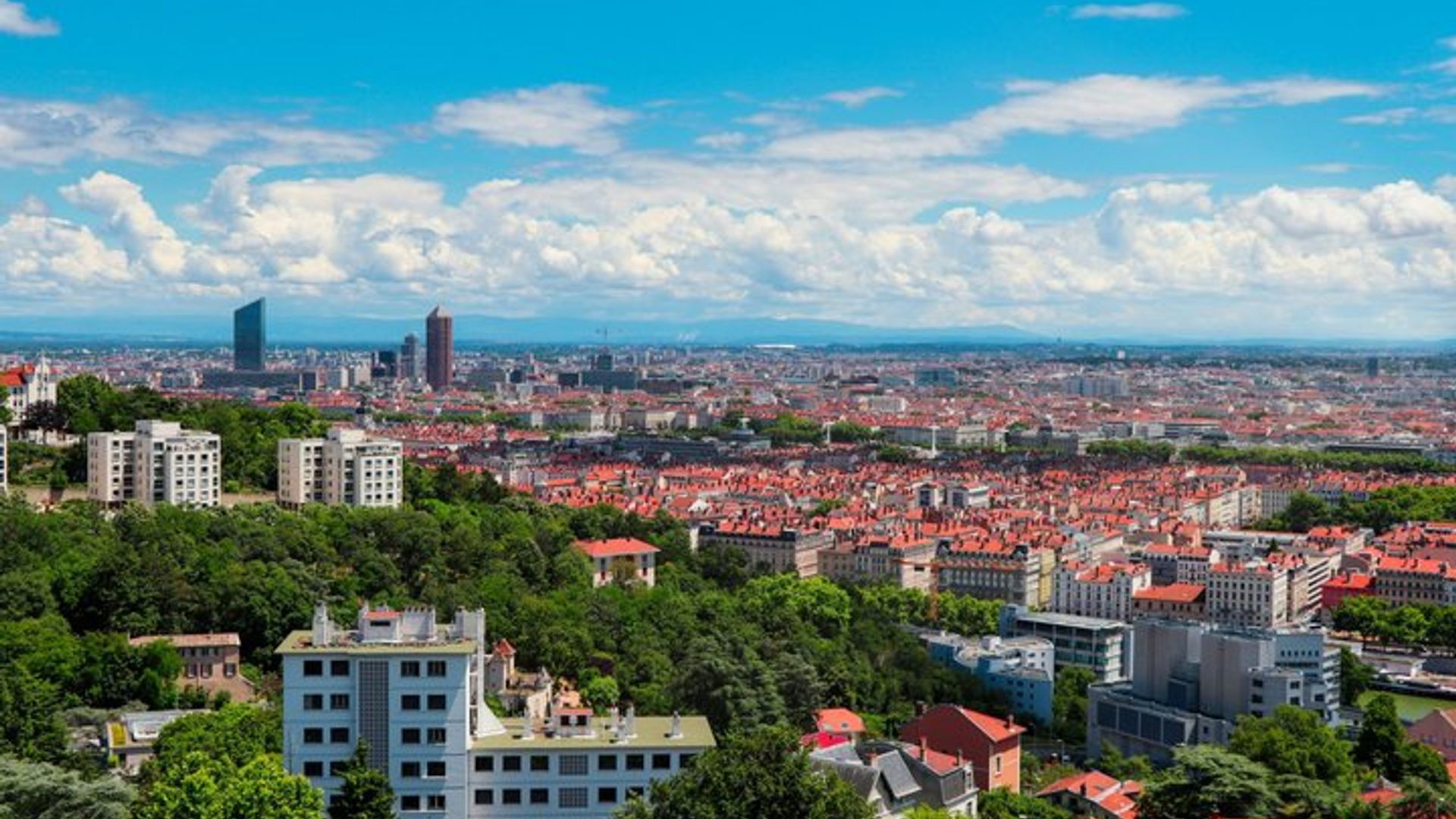 Private Weintour im nördlichen Rhônetal ab Lyon