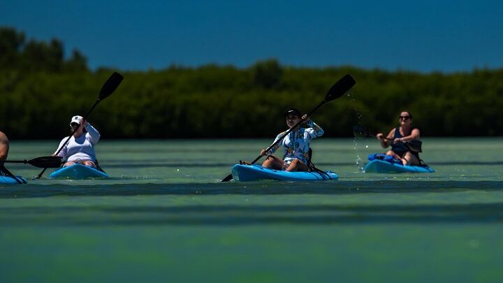 Shell Key Preserve Small-Group Kayak Tour With Captain Yak