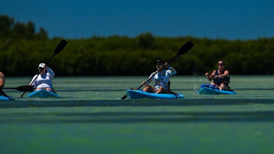 Shell Key Preserve Small-Group Kayak Tour With Captain Yak