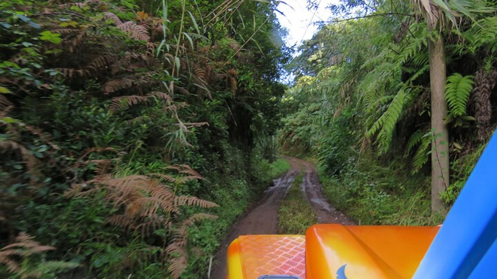 Vineyard Escapade and skywalk, a Wine Tour 4x4 Adventure