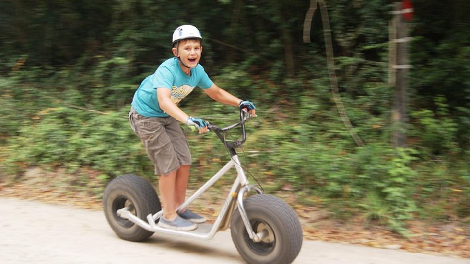 Experiencia en scooter cuesta abajo en el bosque de Knysna