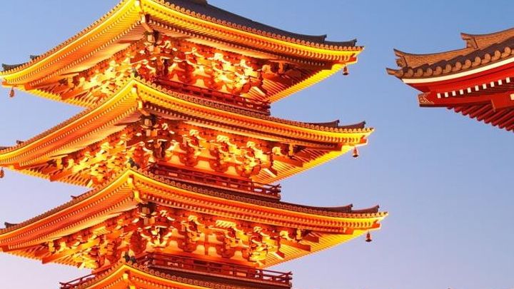 Tokyo Half- or Full-Day Customizable Private Tour With Hotel Pickup