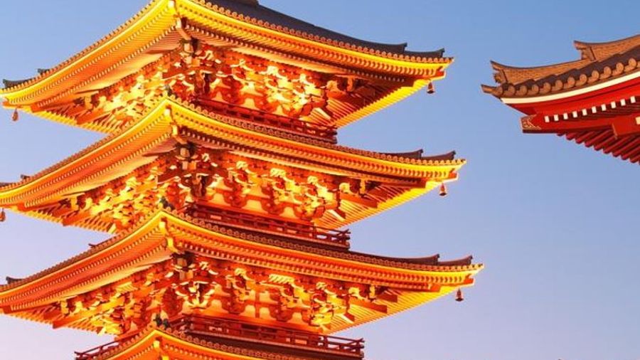 Tokyo Half- or Full-Day Customizable Private Tour With Hotel Pickup