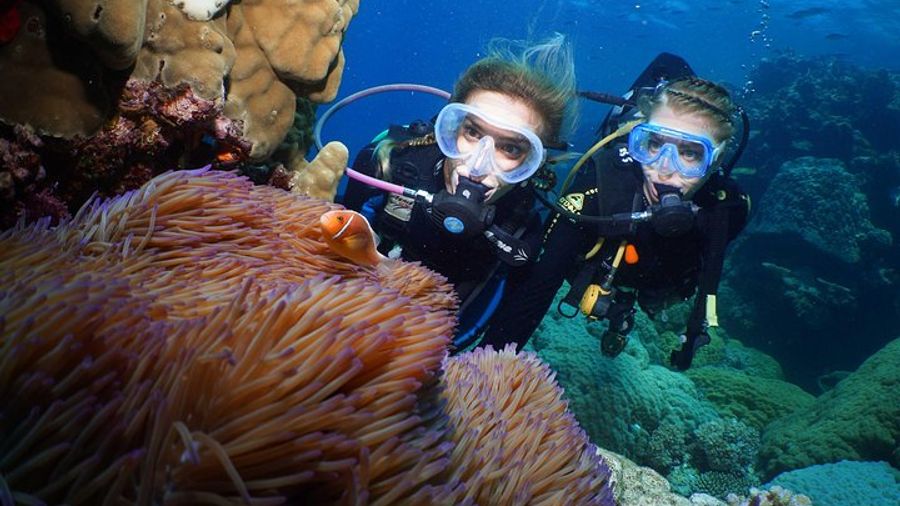 Four-Day PADI Gold Open Water Dive Certification, Port Douglas