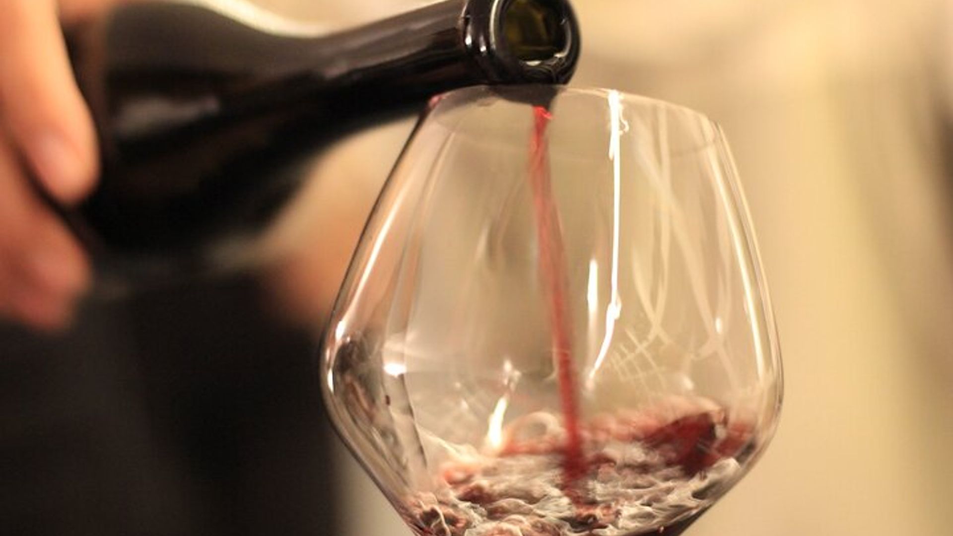 Wine and Dine Vineyard Walk in Sion