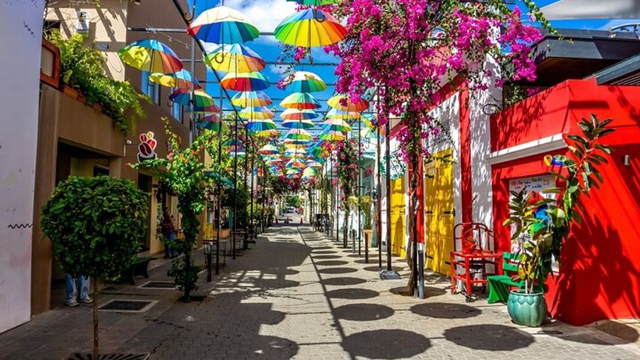 Puerto Plata City Tour with Private Guide, Rum,Chocolate.
