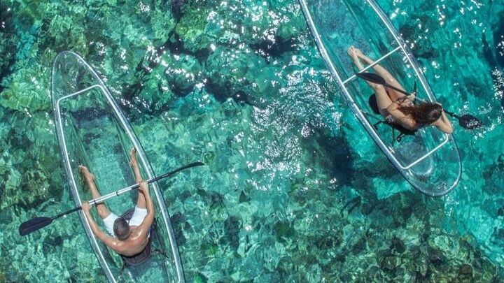 Providenciales: Small-Group Clear Kayak Tour in Mangrove Cay