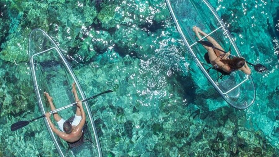 Providenciales: Small-Group Clear Kayak Tour in Mangrove Cay