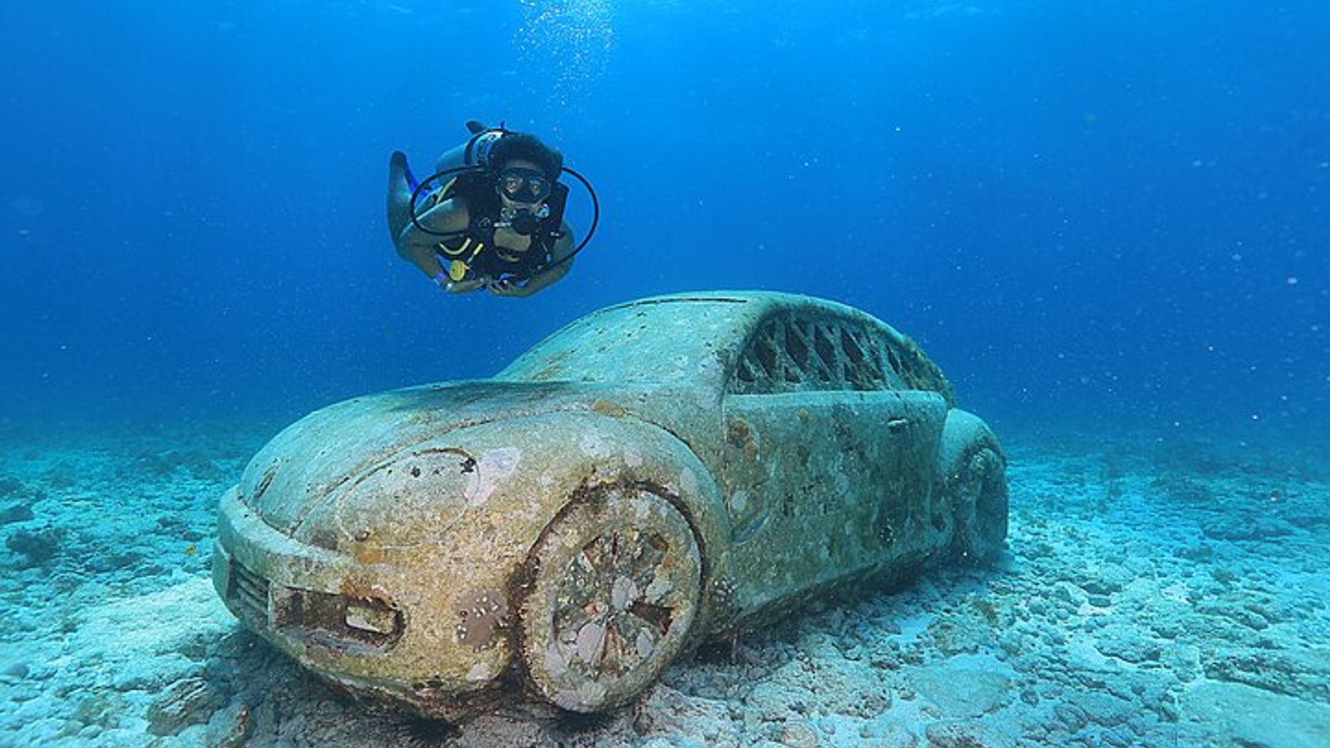 A full-day, small-group scuba diving lesson and tour image 1