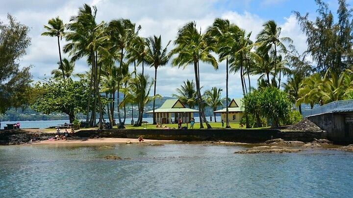 Historic Hilo Bay and Coconut Island Guided Kayak Adventure