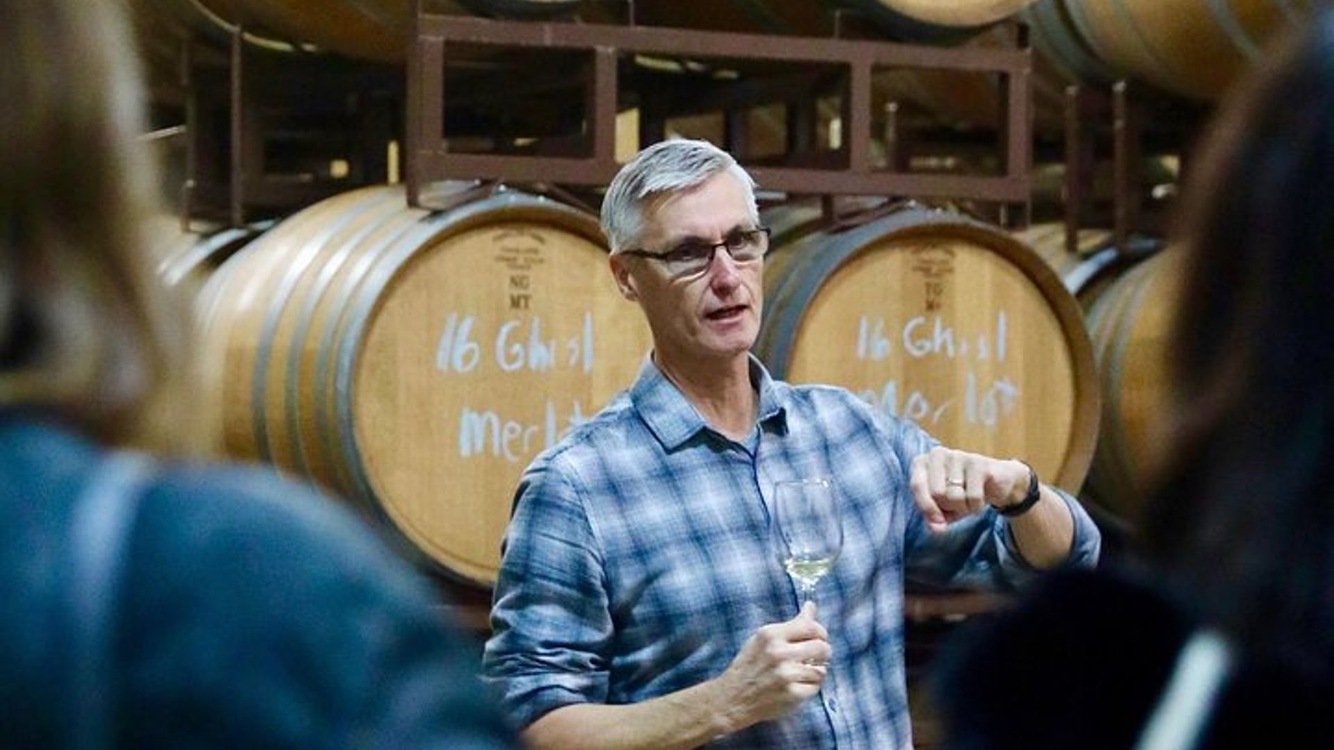 San Francisco: Coastal Redwoods & Wine Country Guided Tour image 2