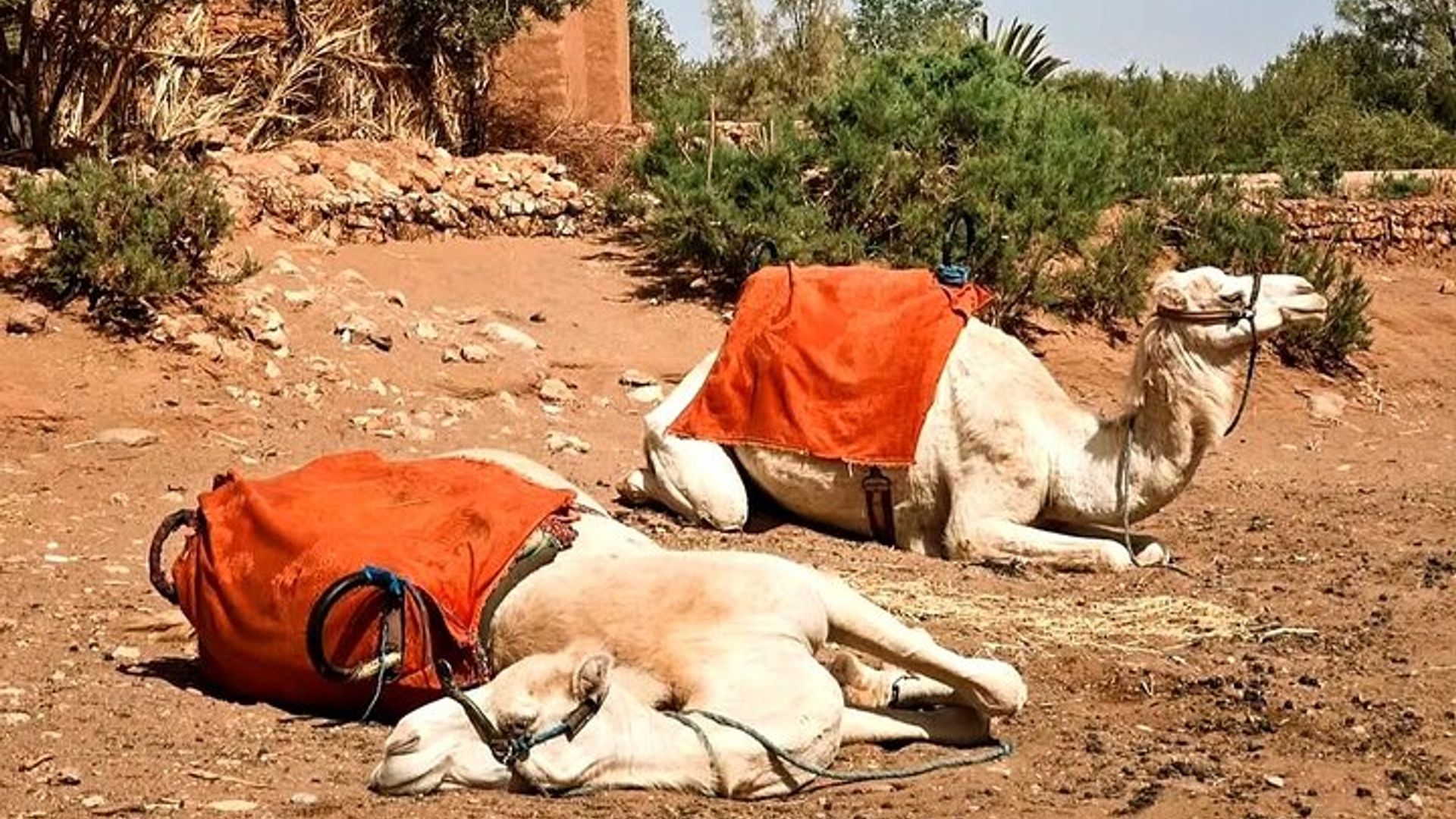 Kasbah Kasbah kasbah