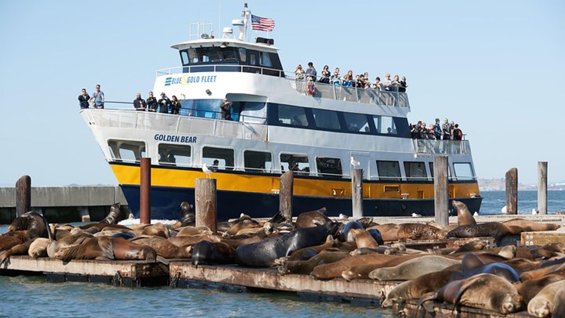 San Francisco Bay Highlights Cruise image 3