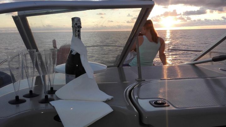 Private Dolphin and Whale Watching Tour in Madeira