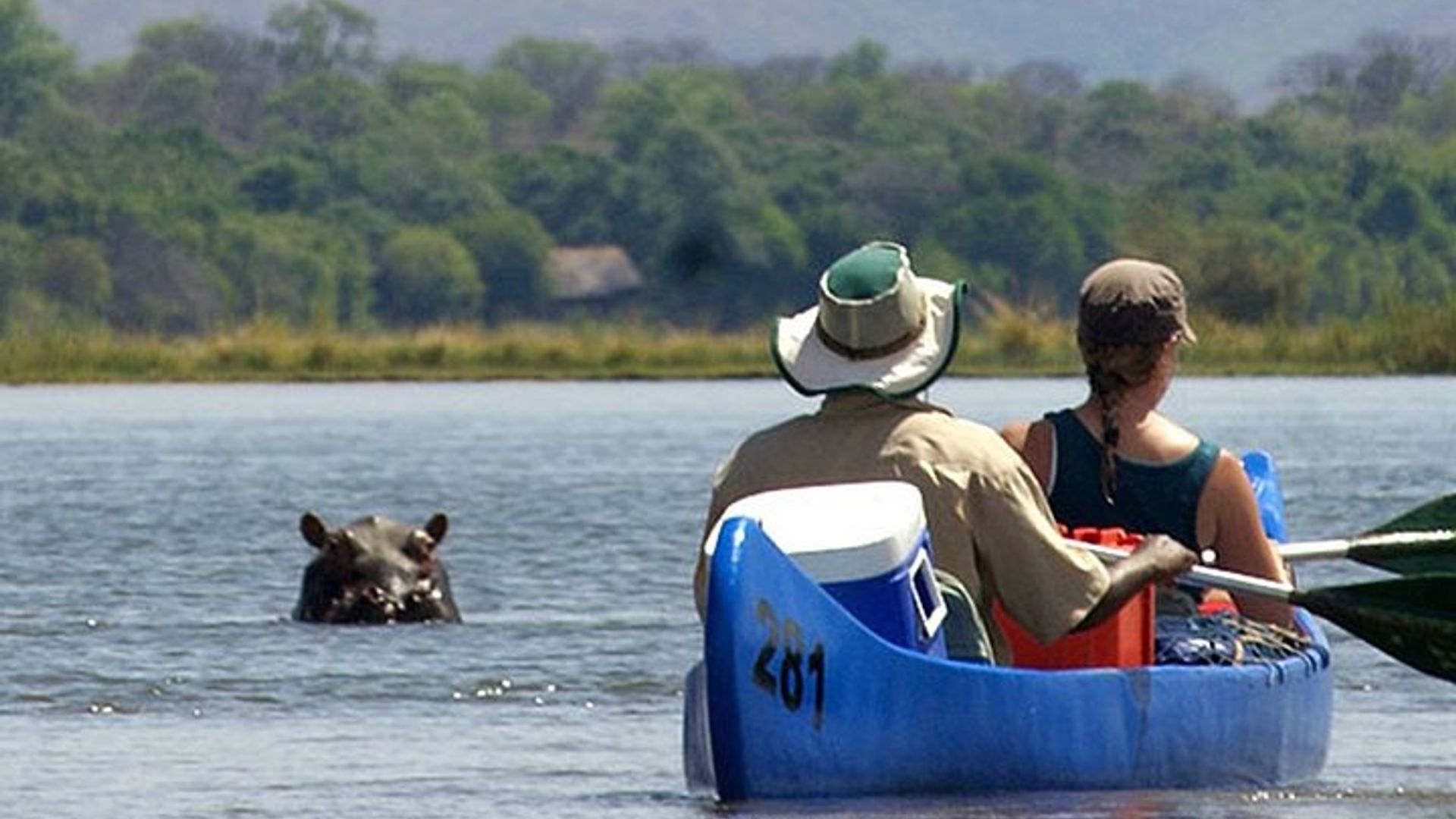 Half-Day Zambezi River Canoeing Experience with Pickup