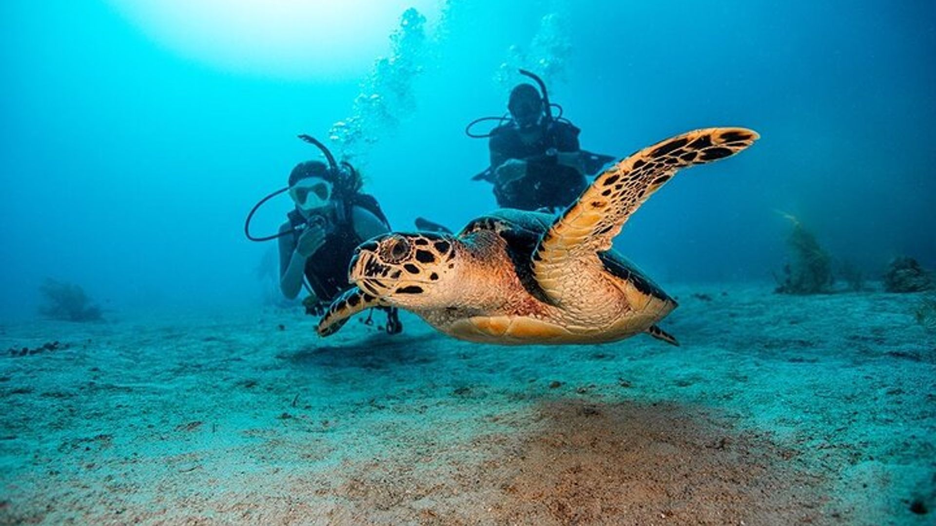 Île Maurice Découvrez l'expérience de plongée sous-marine