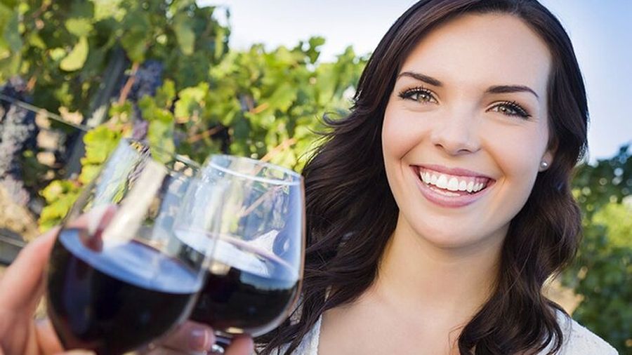 Niagara-on-the-Lake Small-Group Wine Tour and Picnic