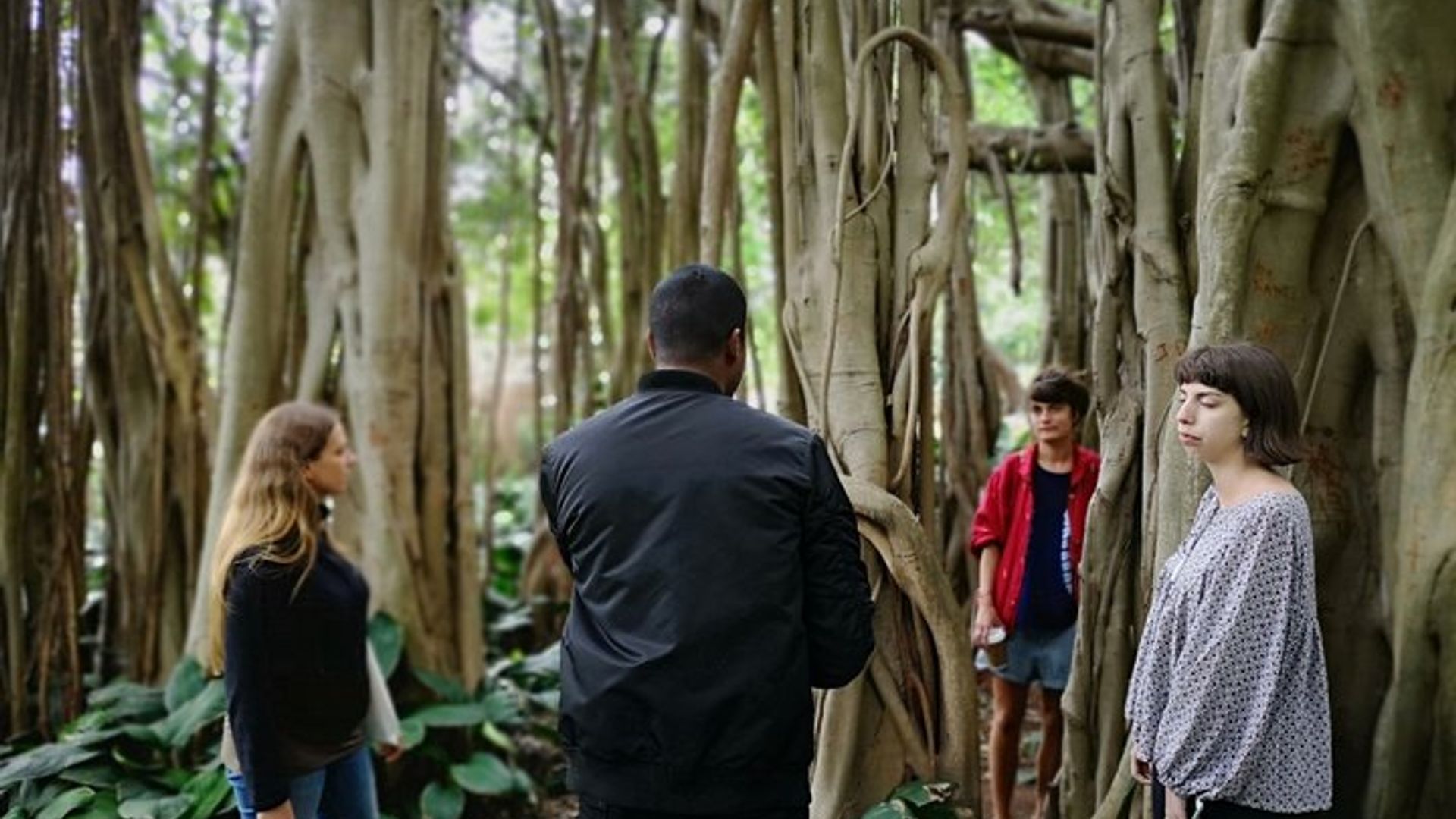 Durban in a Moment: Botanical Gardens, Tribal Museums & Traditional Markets