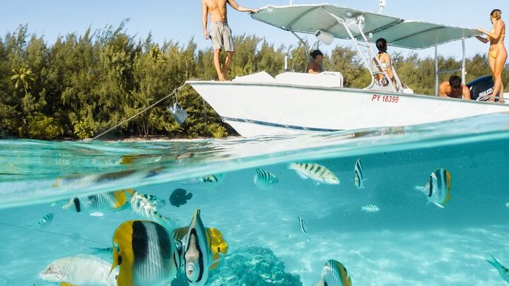 Half Day Tour lagoon discovery marine fauna flora small group
