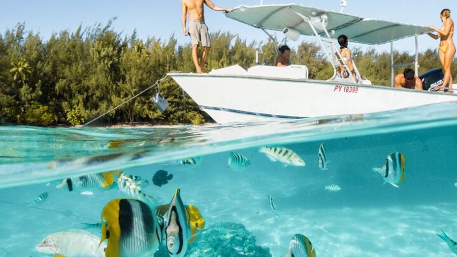 Half Day Tour lagoon discovery marine fauna flora small group