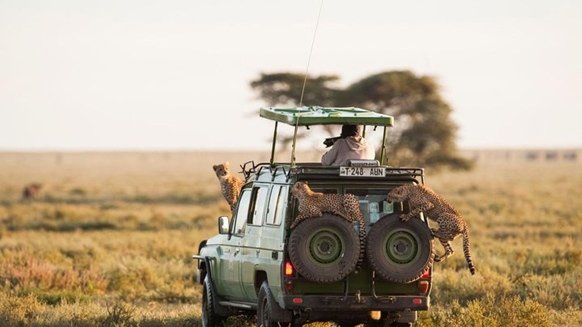 15 Days Spectacular Kenya & Tanzania Safari with Zanzibar Beach