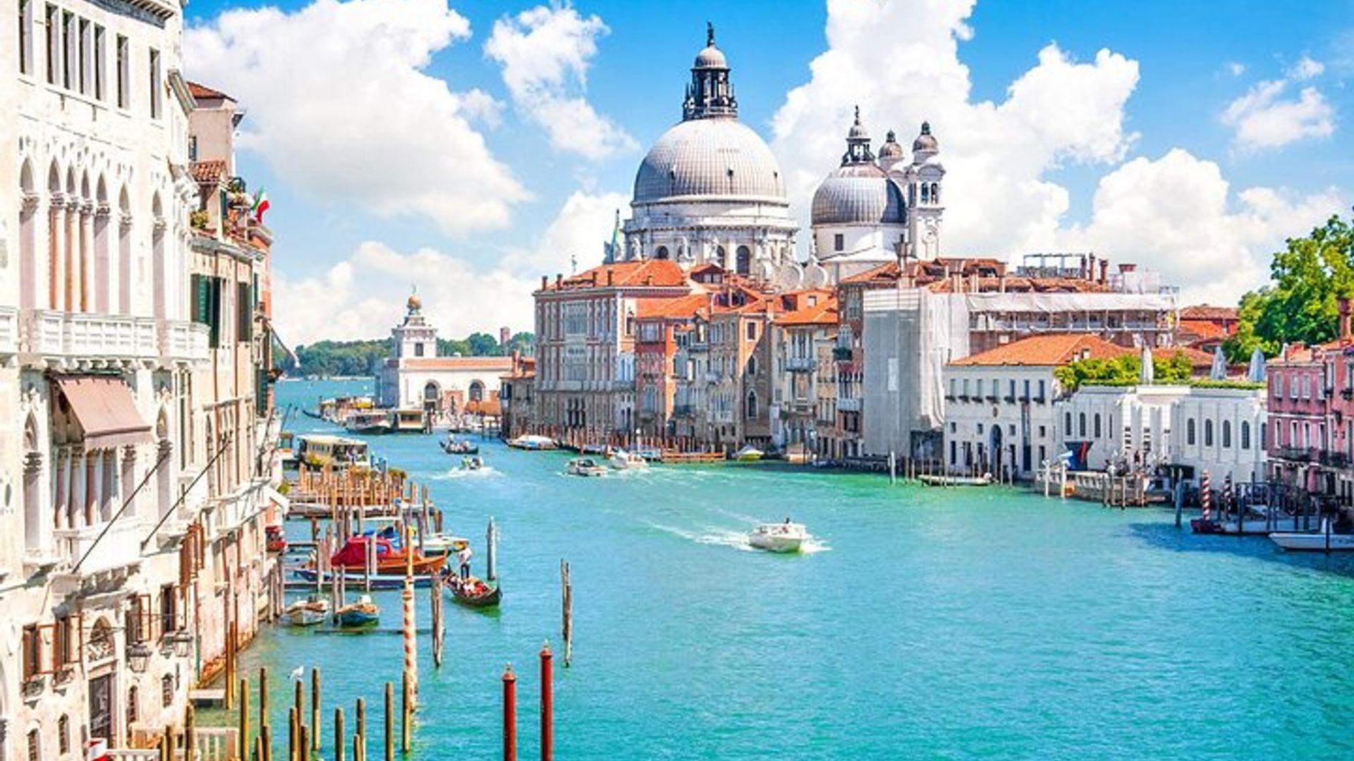Venice Small-Group Walking and Boat Tour with Food Tastings