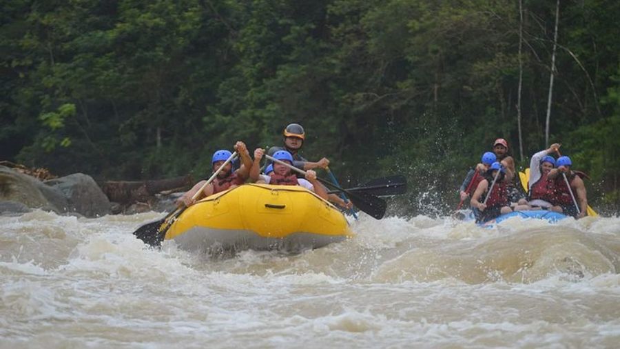 Half-Day White-Water Rafting Adventure, Naranjo River