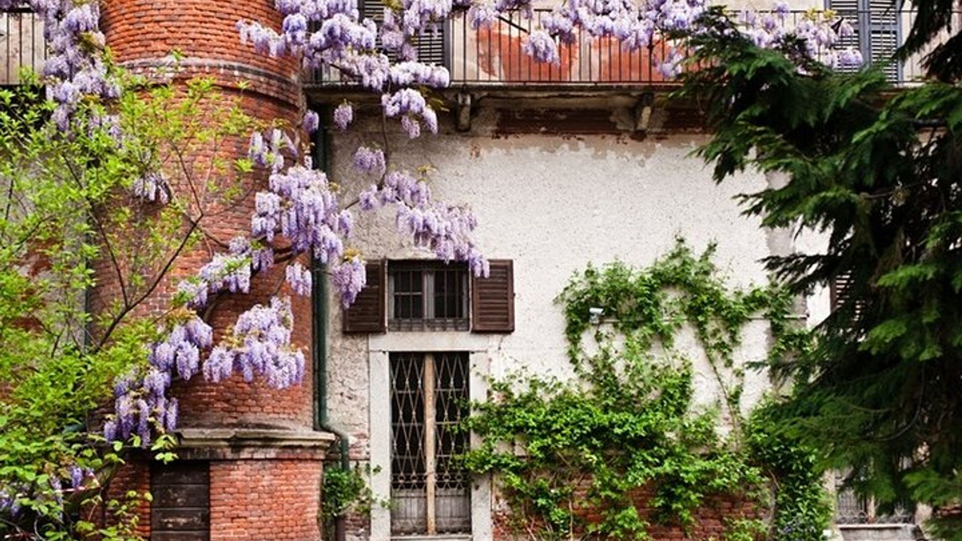 The secrets of Brera Private Tour: the district & Pinacoteca guided tour