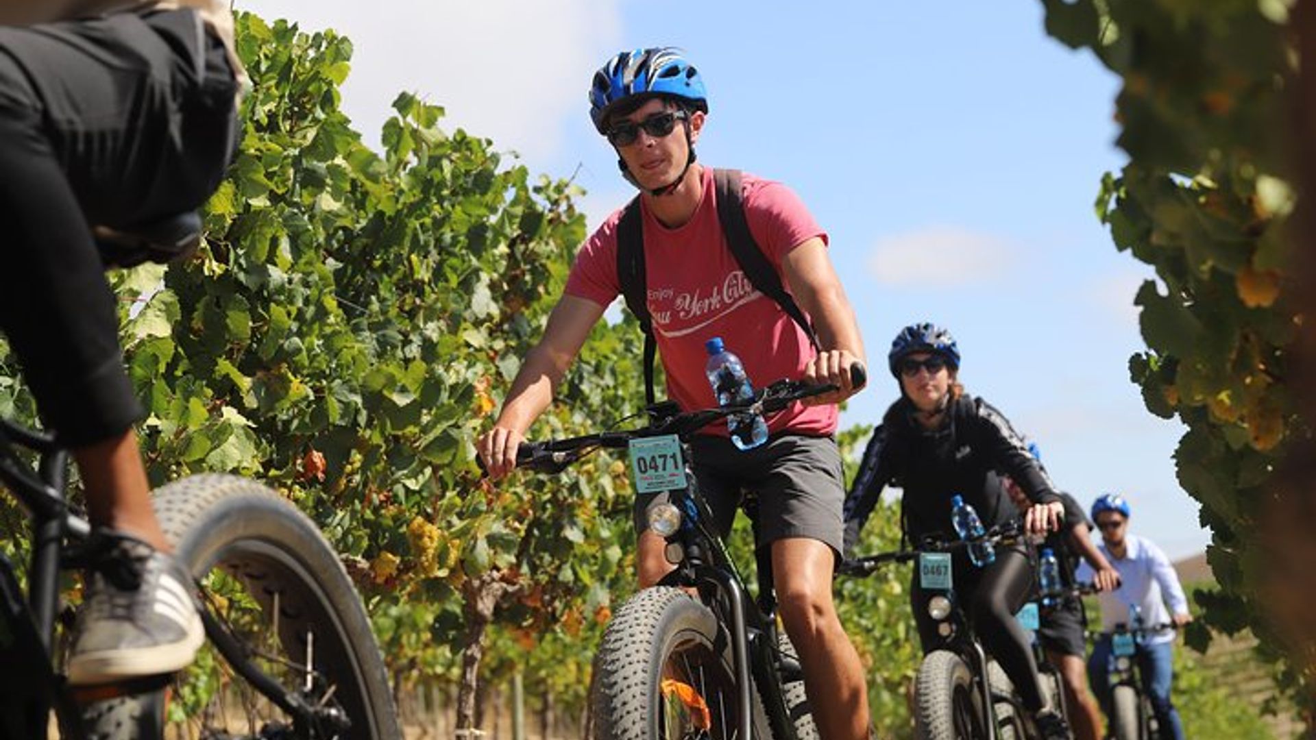 Von Kapstadt: Ganztägige Electric Bike Winelands Tour & Mittagessen