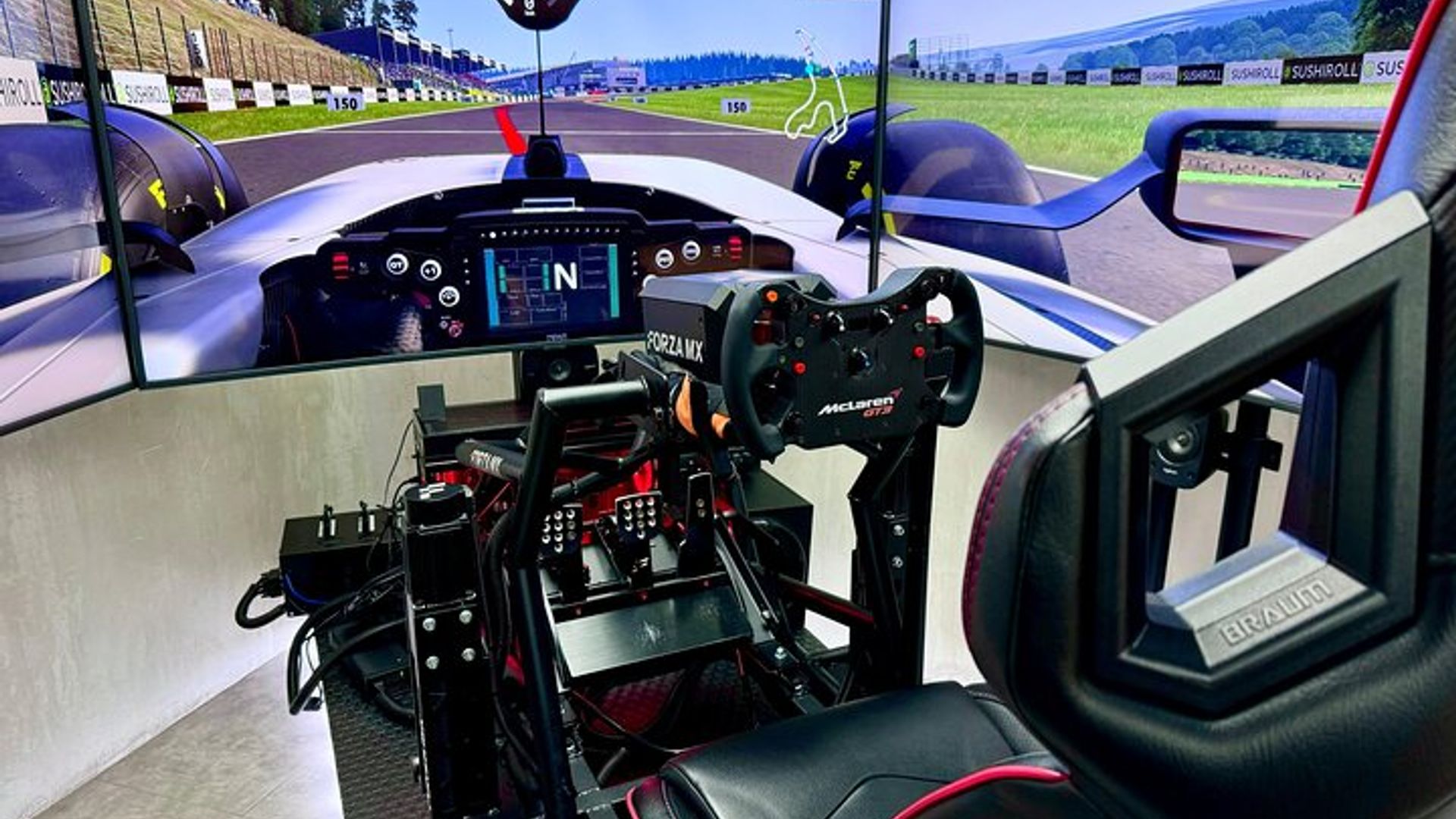 Professional racing simulator image 2