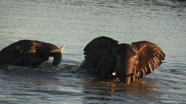 Kruger National Park 2-Day Big Five Safari From Johannesburg