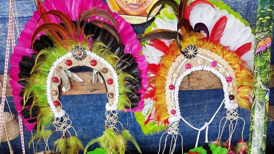 Amazon Boat Cruise, Indigenous Village, Dolphins from Manaus