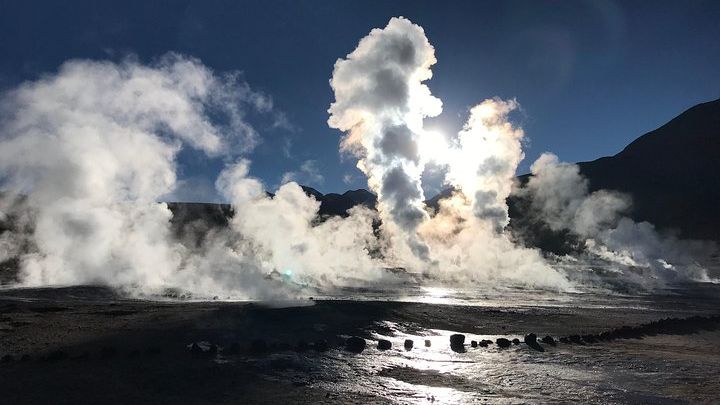 Atacama Small-Group Geyser and Rio Putana Wetlands Tour