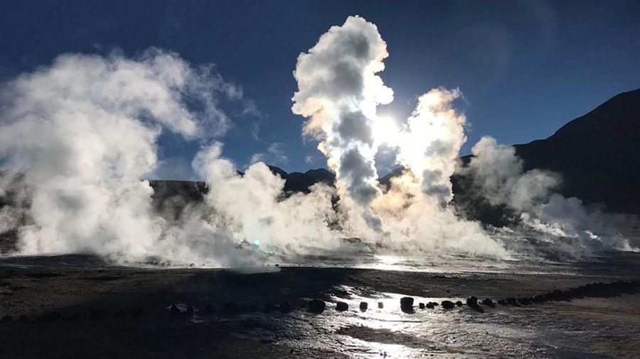 Atacama Small-Group Geyser and Rio Putana Wetlands Tour