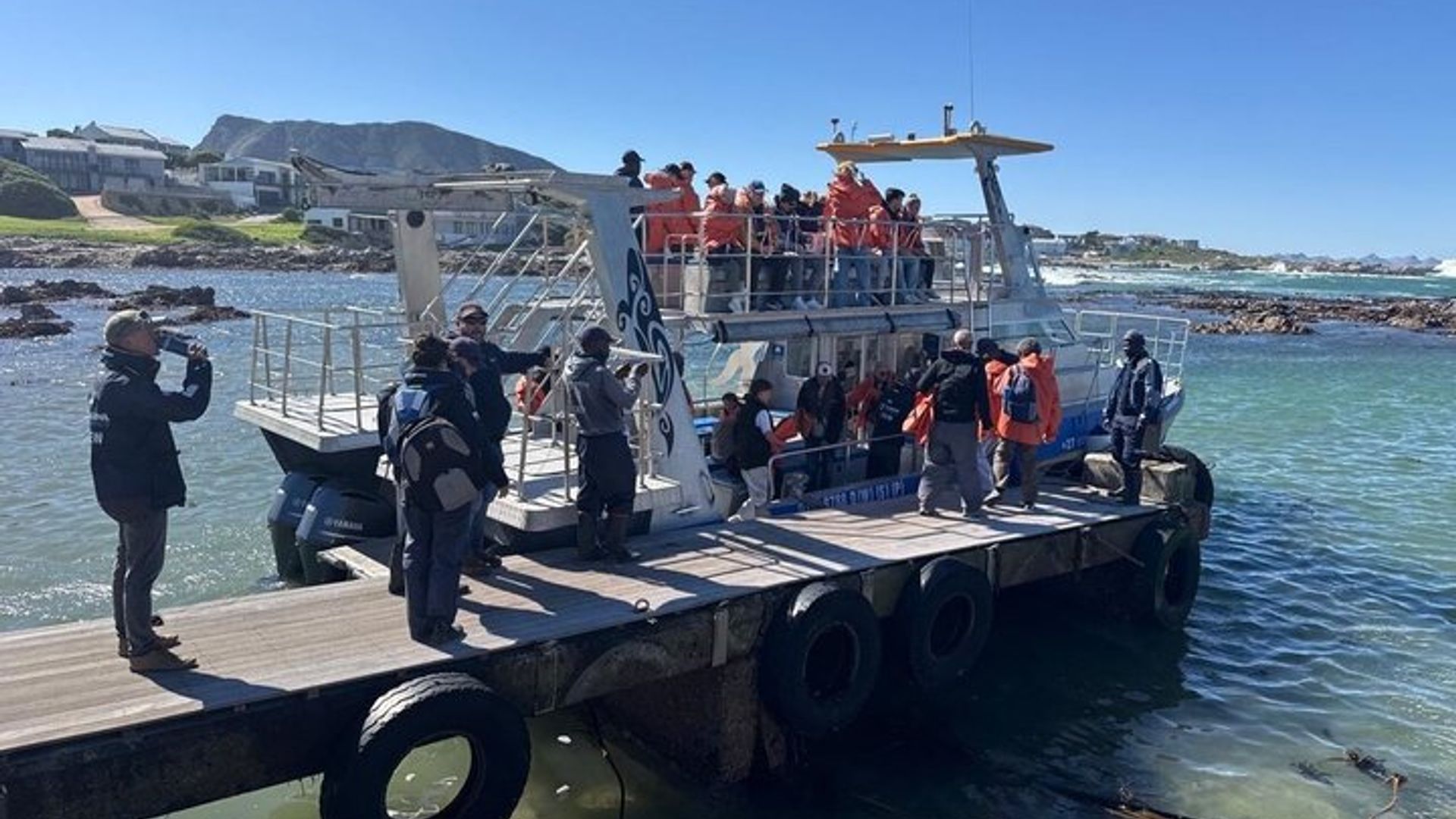 Boat Based Whale Watching from Hermanus