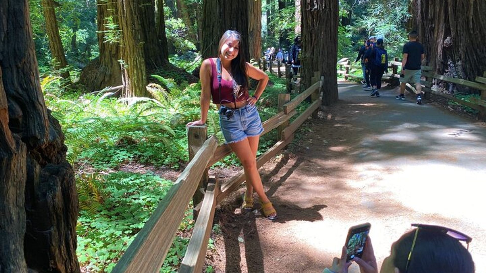 Muir Woods and Sausalito Private Jeep Tour image 2