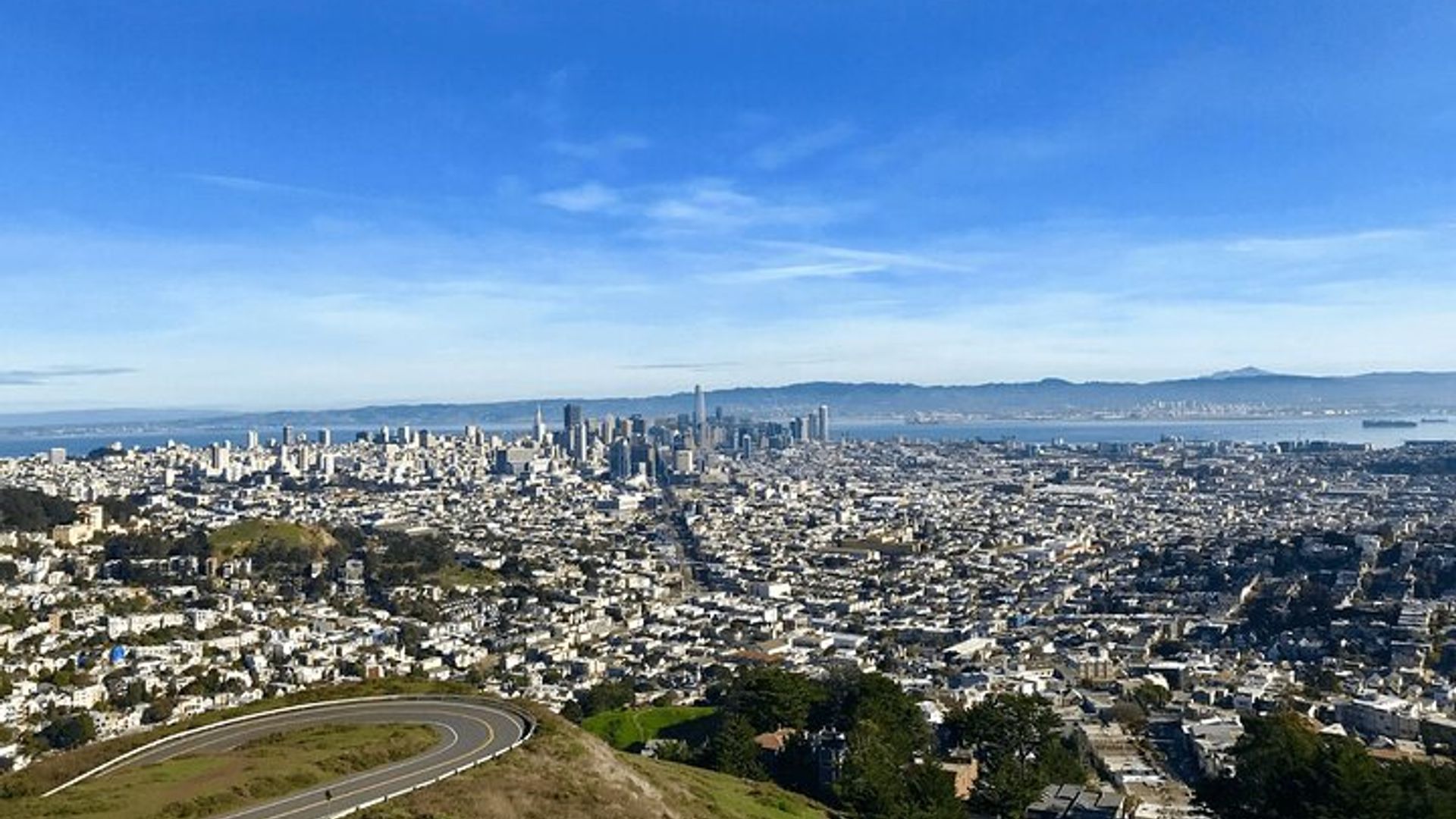 San Francisco Private City Tour with Muir Woods and Sausalito image 1