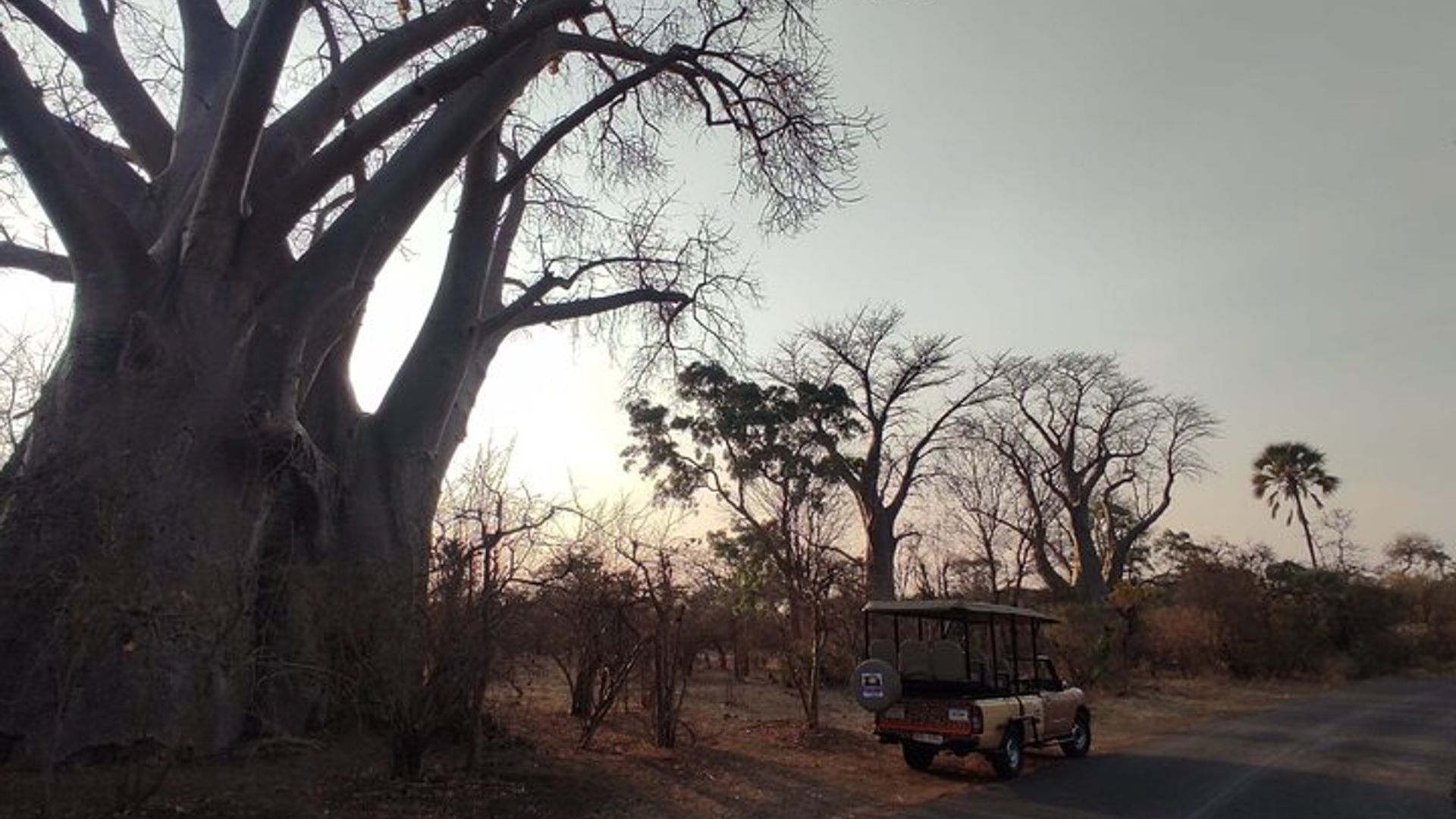 4x4 Baobab Safari hafi yisumo rya Victoria * amatsinda mato gusa * D-F-ES