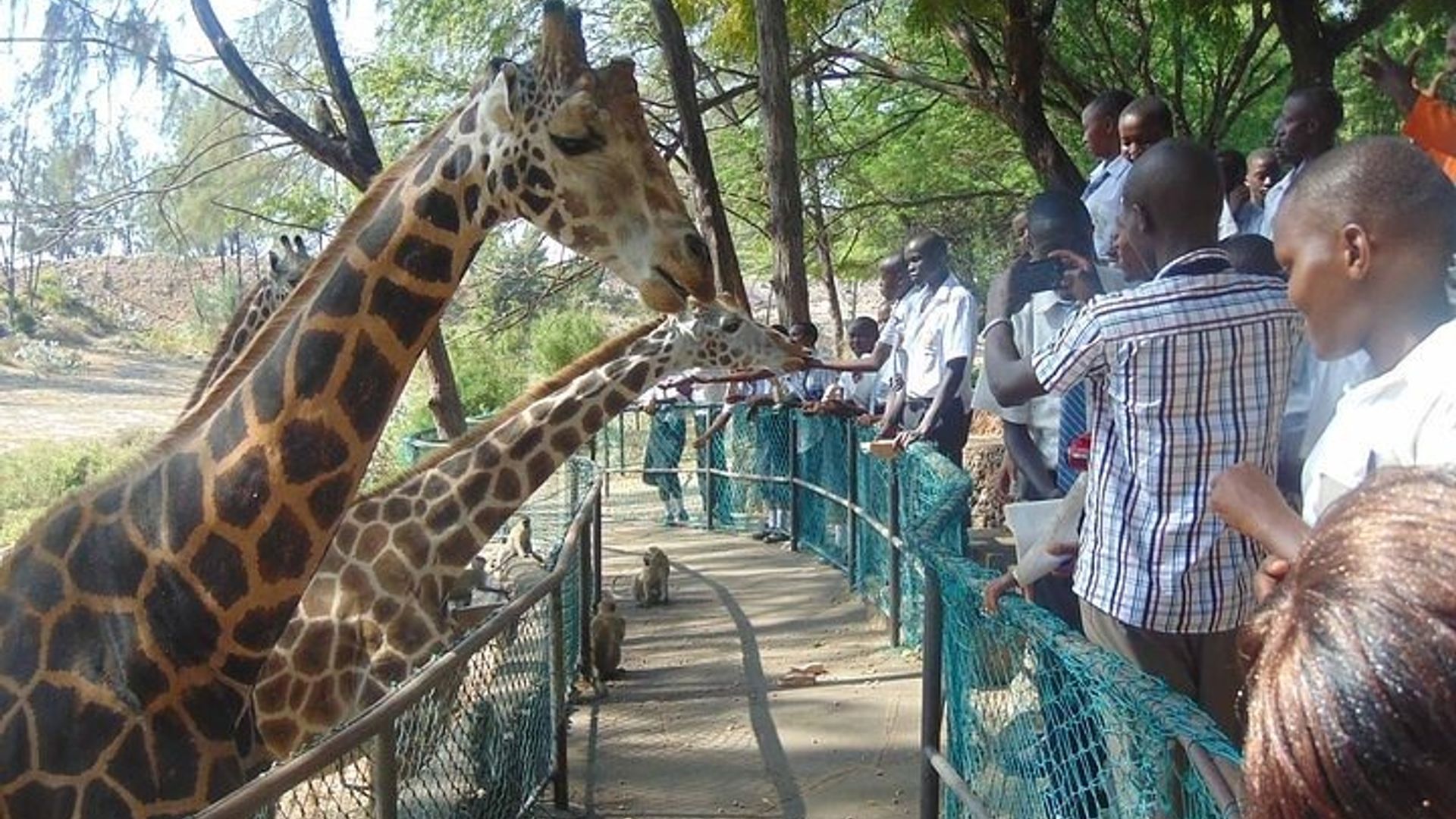 Mombasa Umunsi wose Urugendo no kuzenguruka