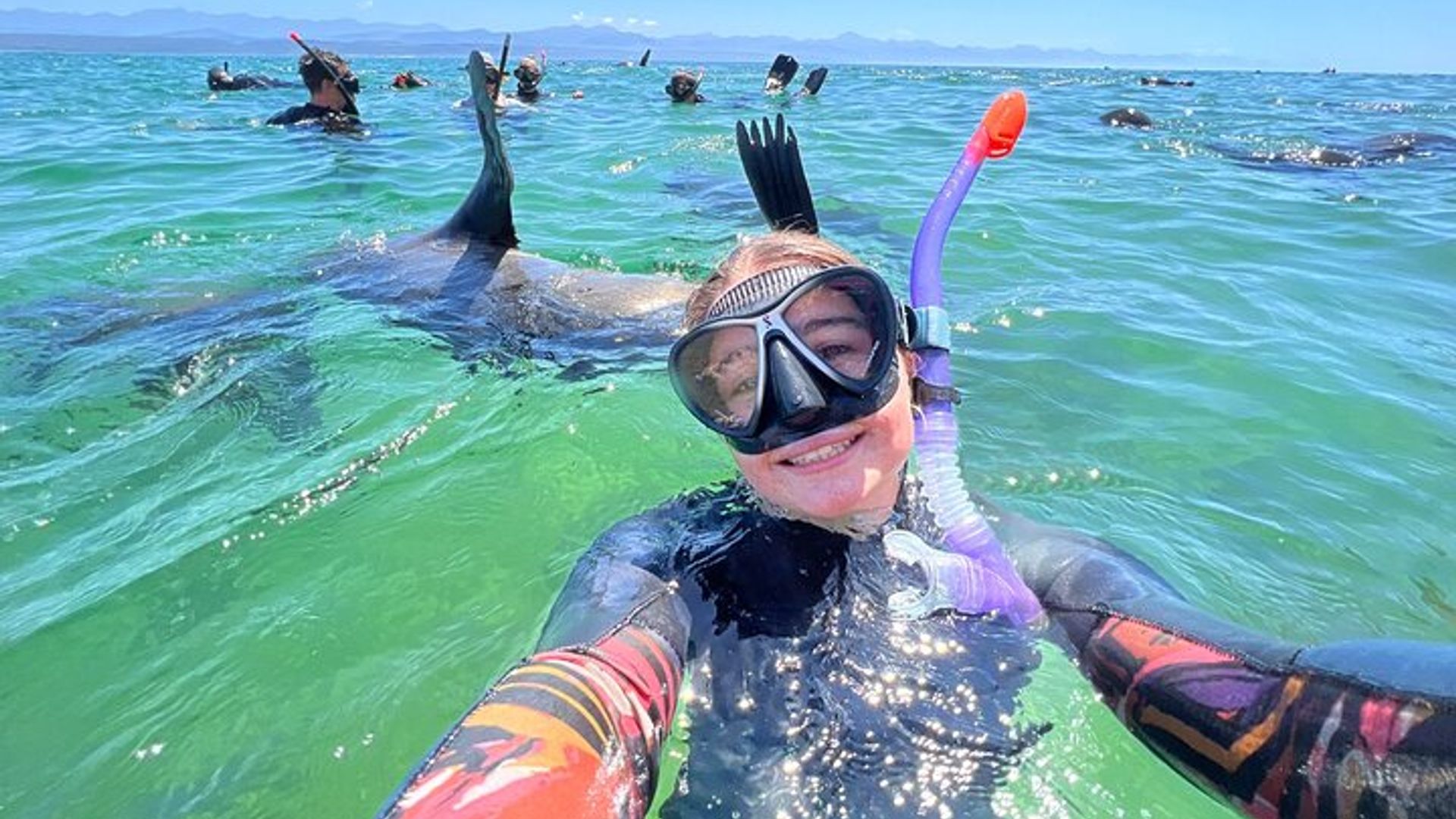Swim with the Seals in Plettenberg Bay