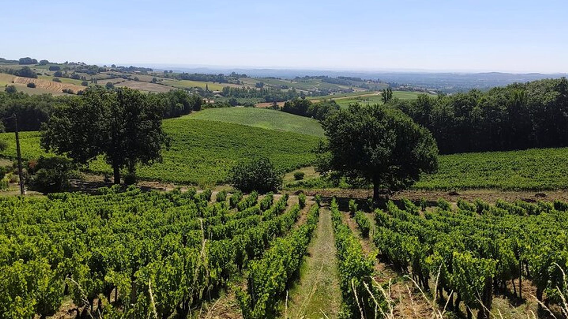 Weinausflug nach Gaillac in kleiner Gruppe ab Toulouse