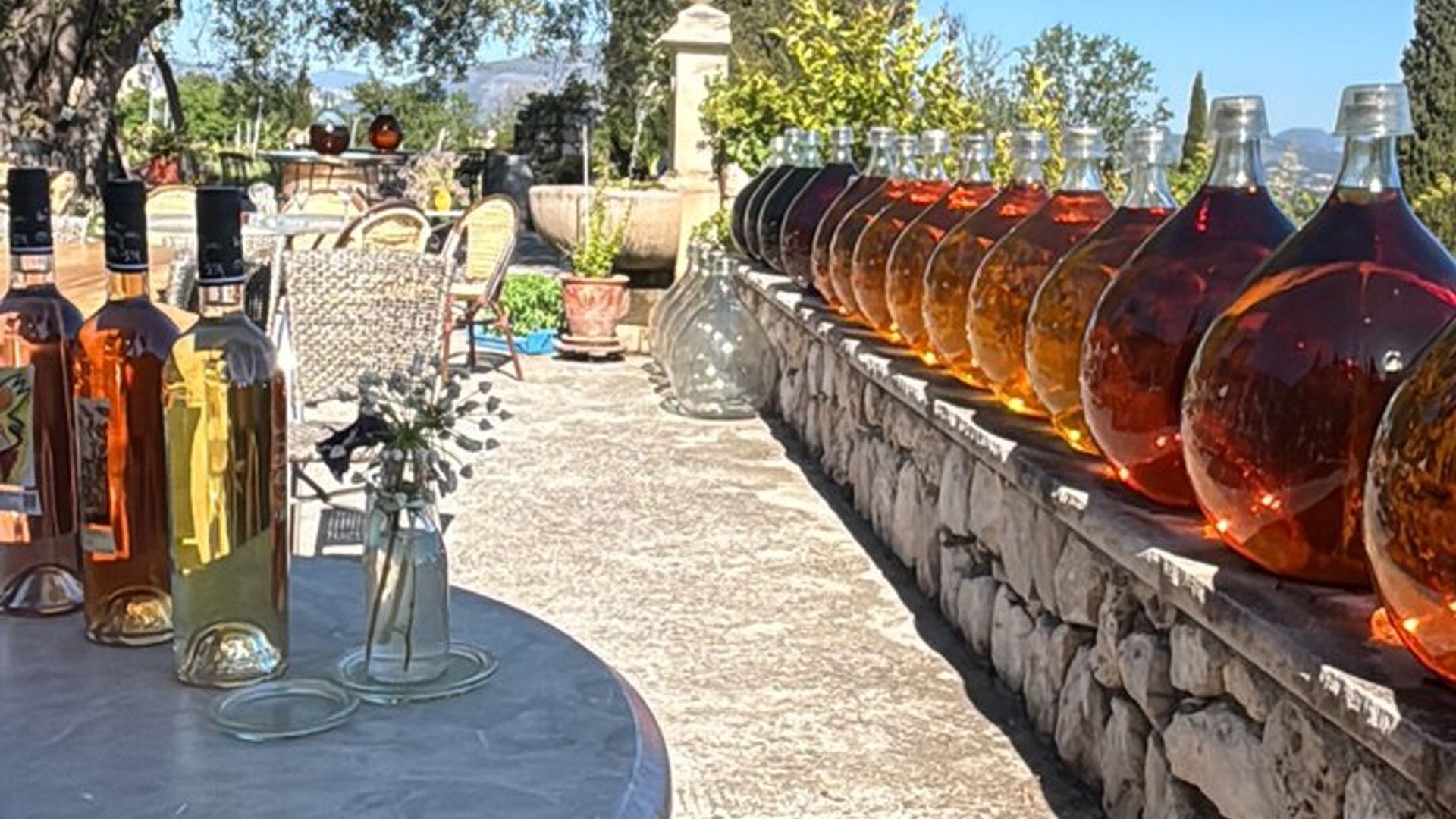 Visite privée de la Côte d'Azur en campagne et dégustation de vins