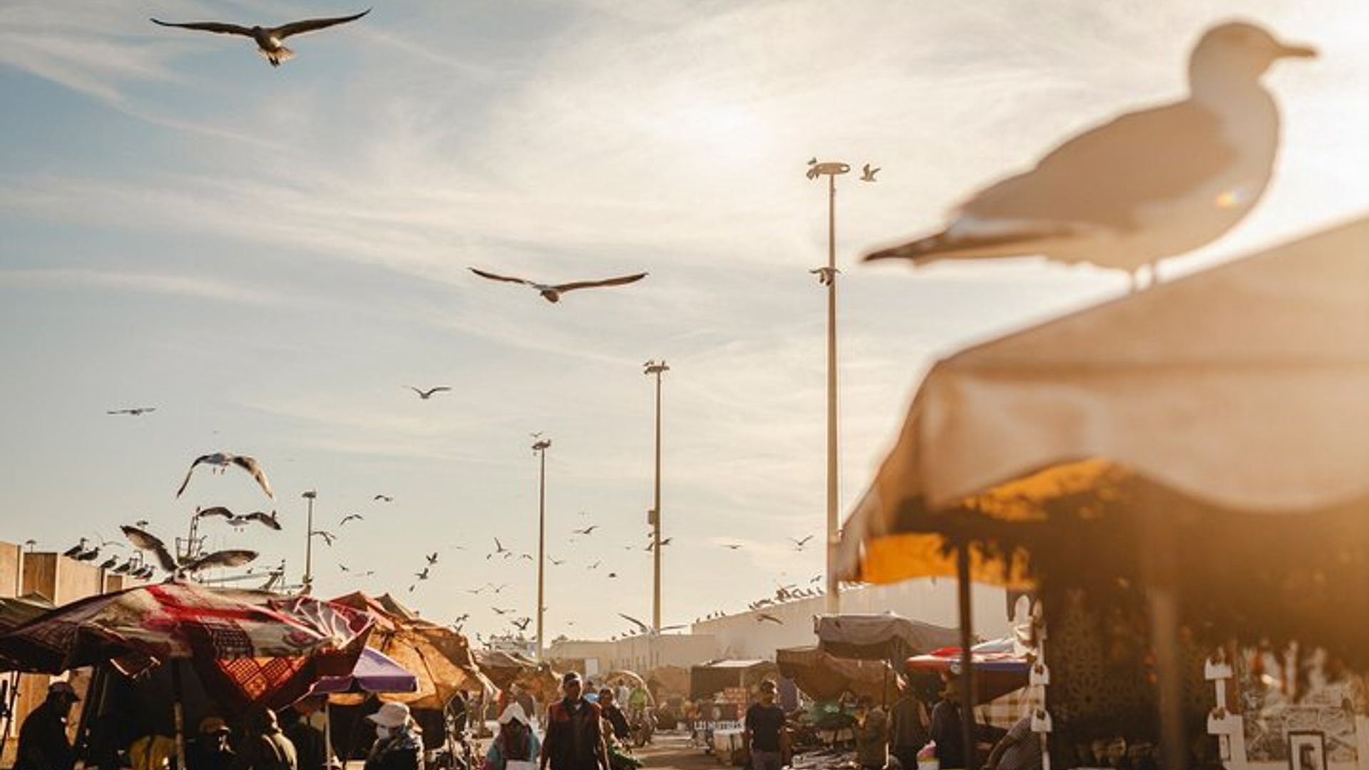 Tour gastronómico de Essaouira con más de 15 degustaciones