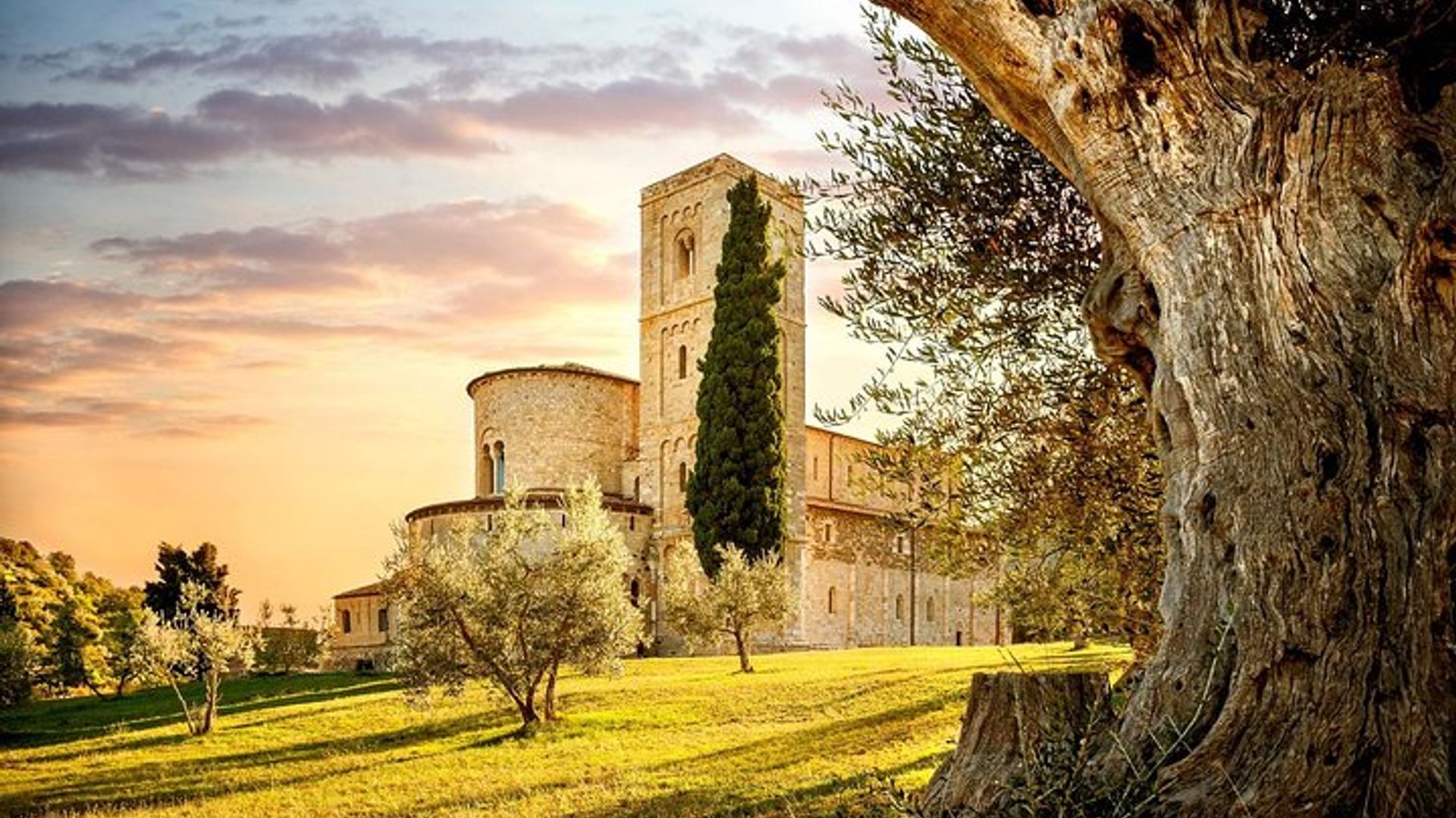 San Gimignano, Chianti, and Montalcino Day Trip from Siena